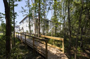 Nature trails